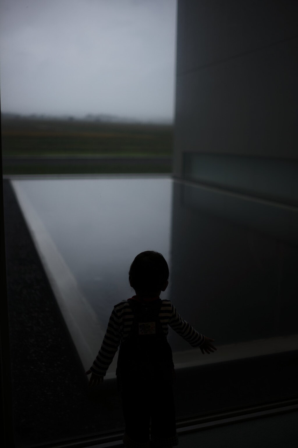 影