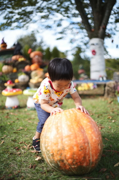 pumpkin