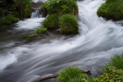 渓流