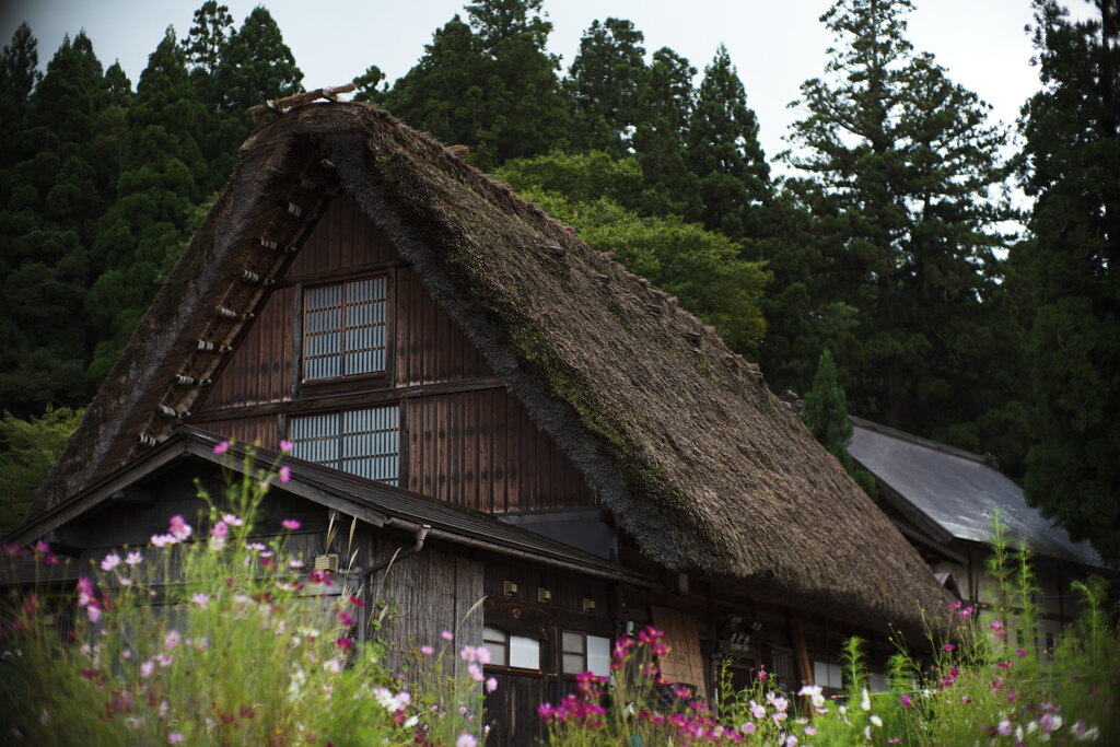 里山