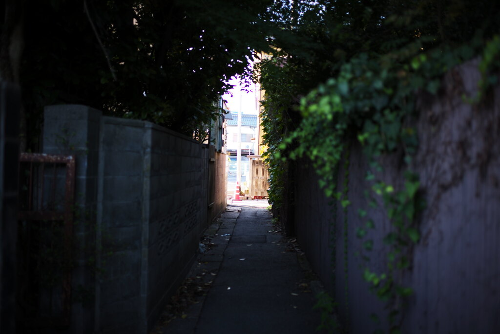 路地