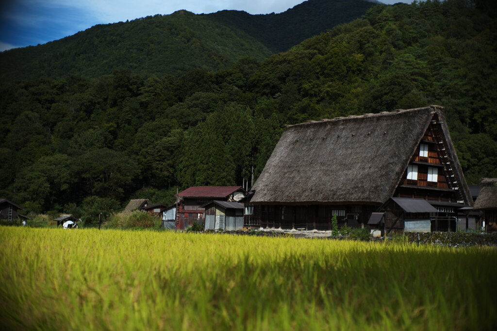里山の秋