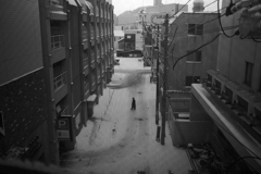 street
