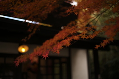 きらめきの余韻