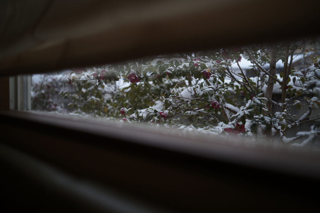 雪もよう