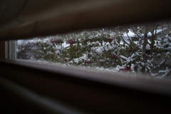 雪もよう