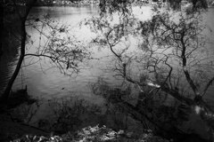 Waterside