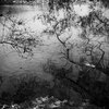 Waterside