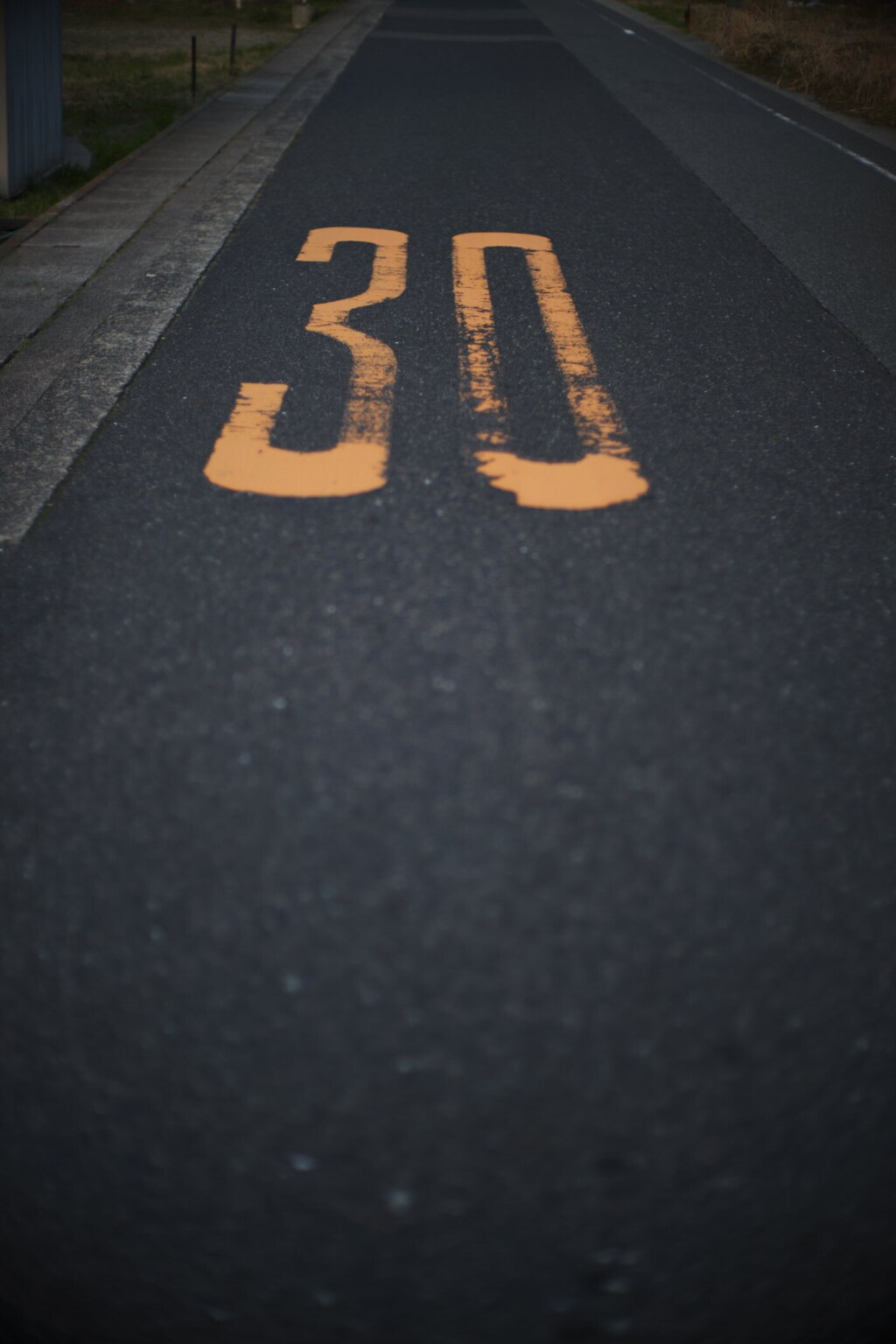 散歩道