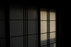 淡色