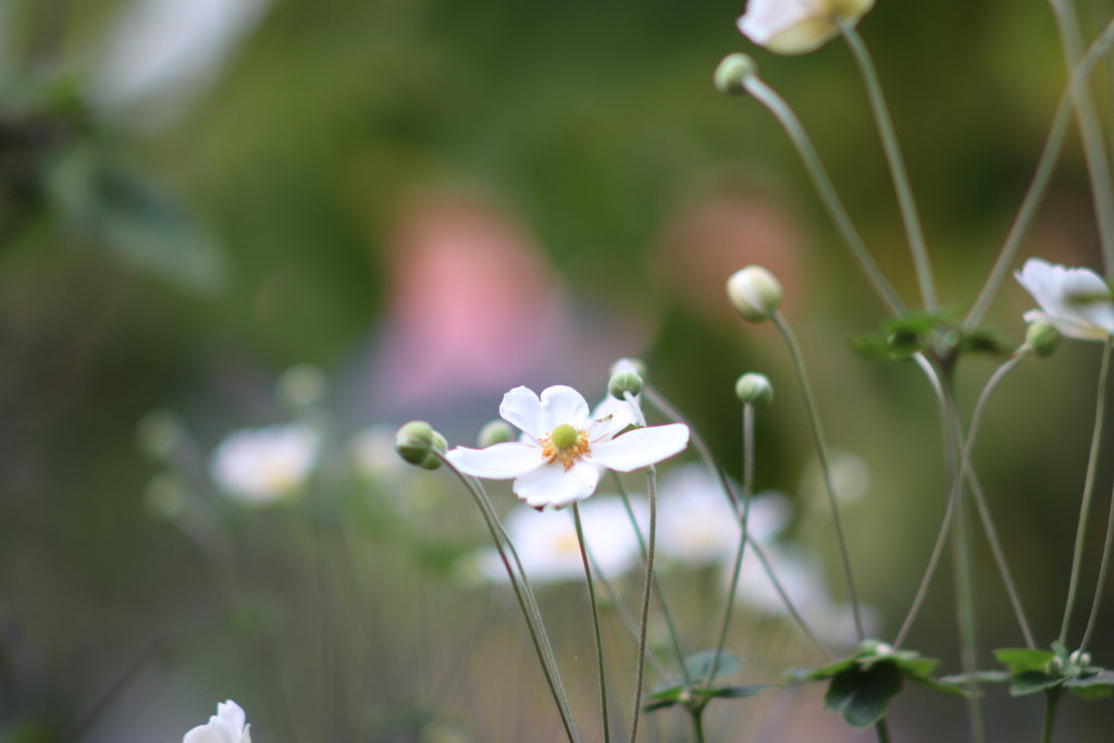 また逢えて嬉しい