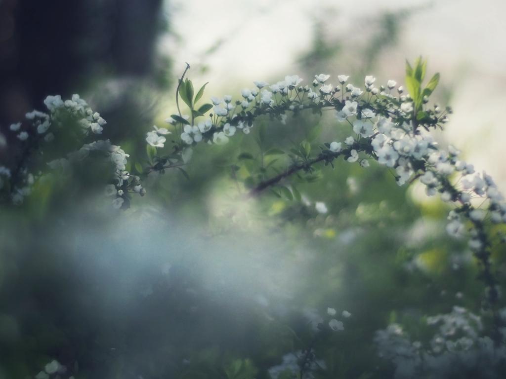 心は　縛れない