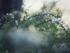 心は　縛れない