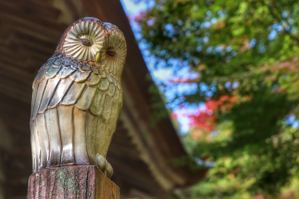 百済寺　静かな秋の日