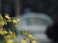 約束の時間に