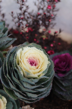 明日から日常に戻ります