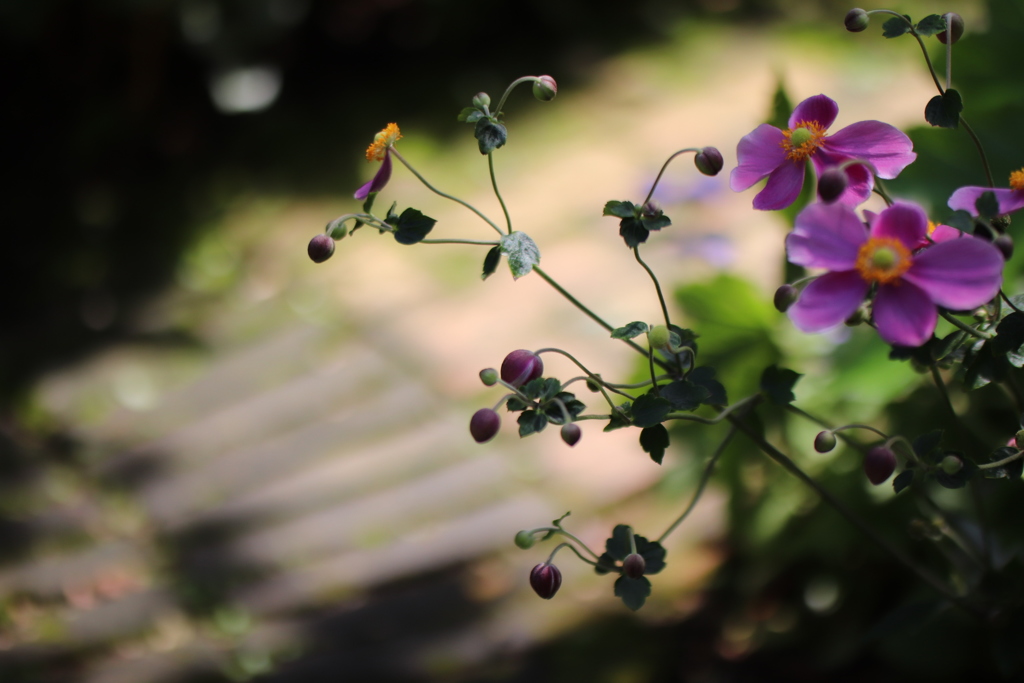 待っててくれて ありがとう