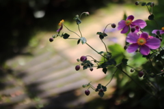 待っててくれて ありがとう