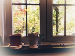 安曇野   2016秋いろ ①