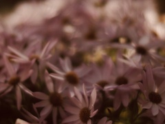 優しくなれる時