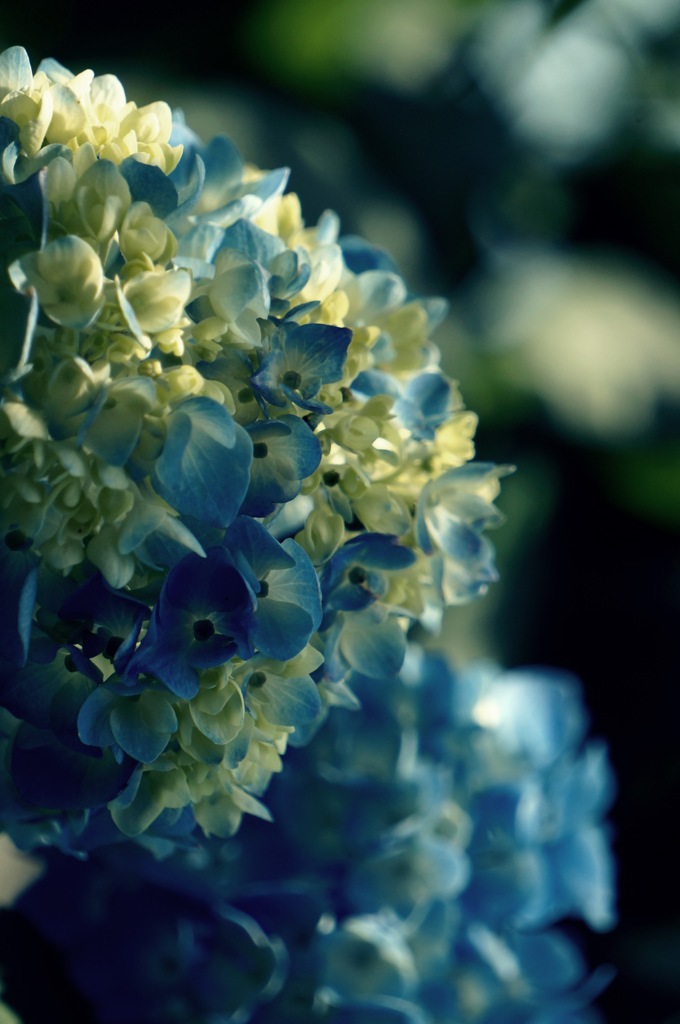 あの日のときめき