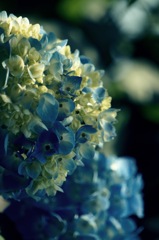 あの日のときめき