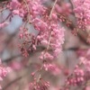心ここにあらず