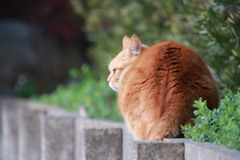 春を見つめて