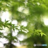 レンズが癒してくれた