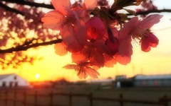 DEFD03C8-FB70-48F1-AFF7-721B60C4DEAA