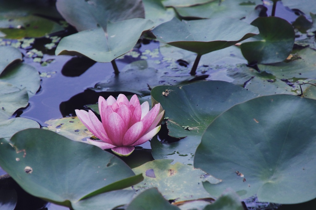 35C97E64-ABE0-4355-8615-2B243F2E95C5