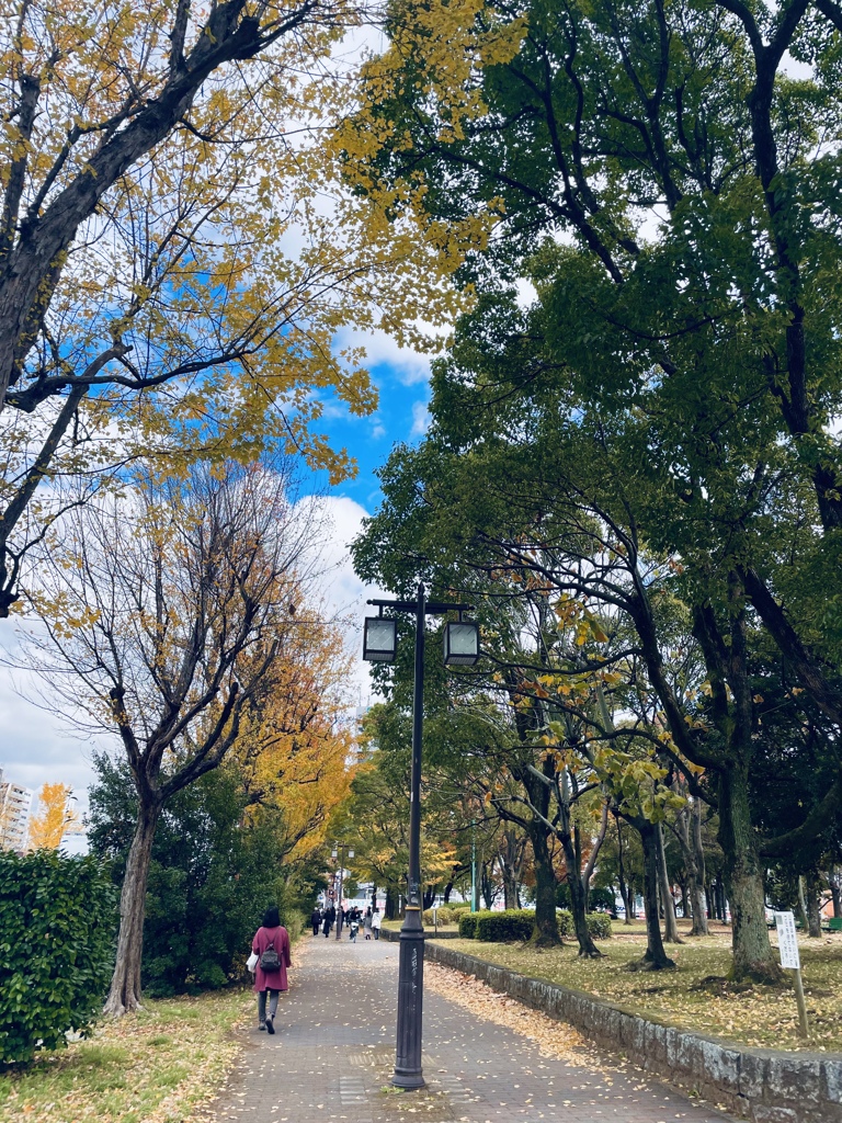 友と歩く道