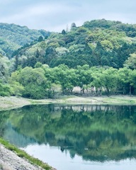 鳴き声も復活♫