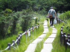 湿原の朝のにほい