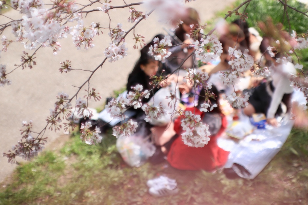 春爛漫