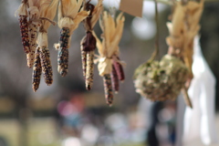 ガーデンマルシェの日❶