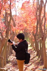 君の横顔