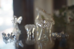 DSC04064　午後のひかり