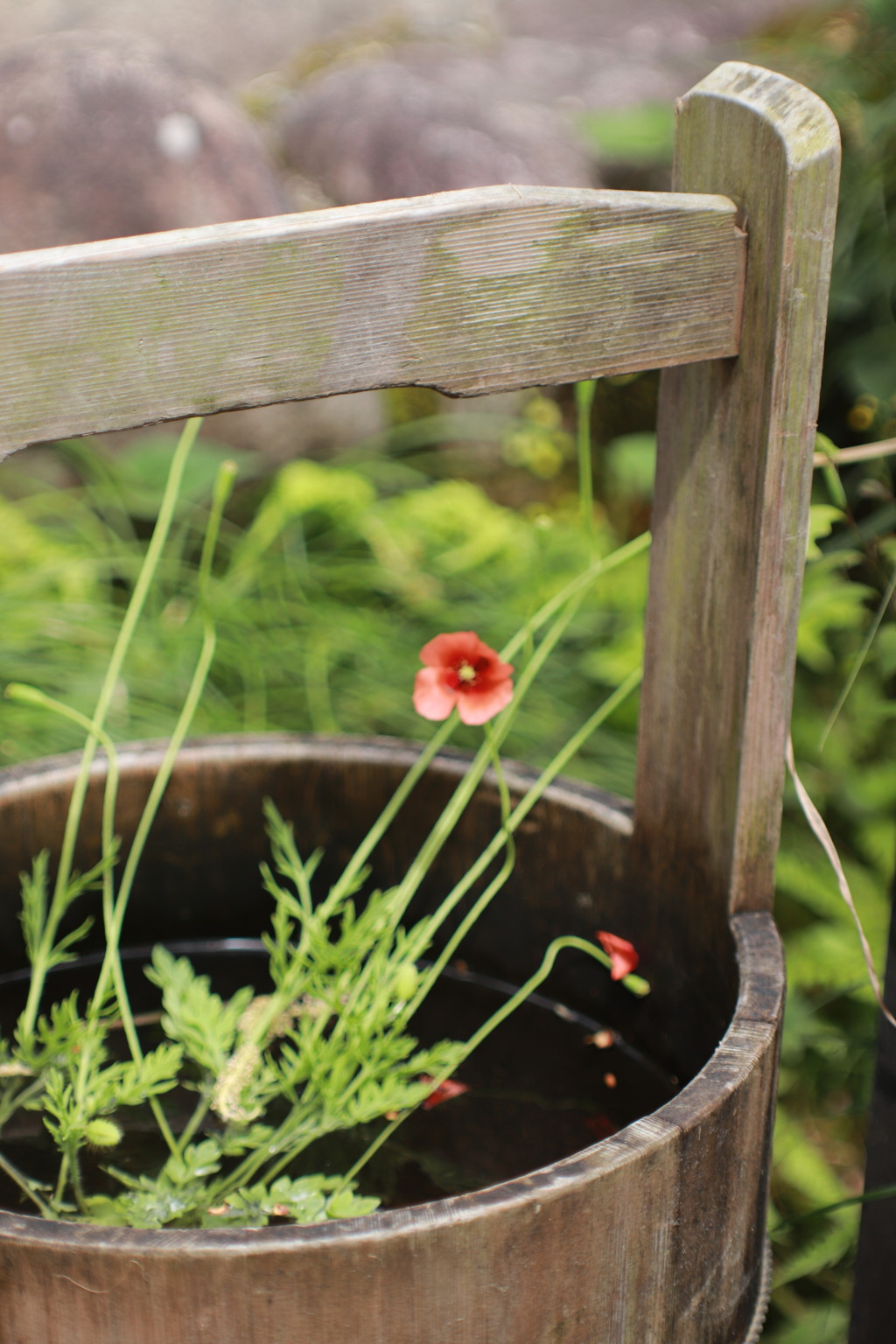 さりげなく粋な計らい