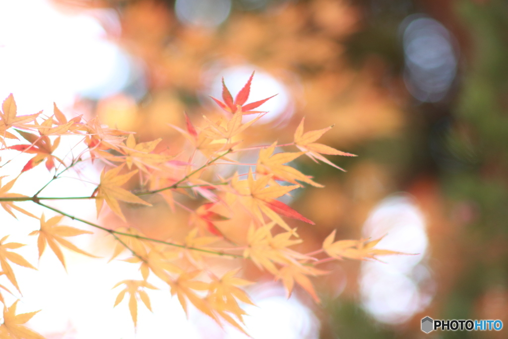 2816346B-2D4D-4814-9825-5D480DE60415