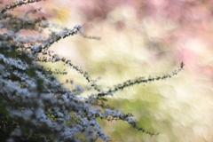 77821D41-0314-4376-8D92-69AAD0F93400