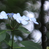 F487E843-8E0A-4E31-8BF7-493BE7F28840