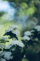 そろそろお昼の休憩