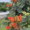 知念岬にて