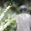 母と歩く公園