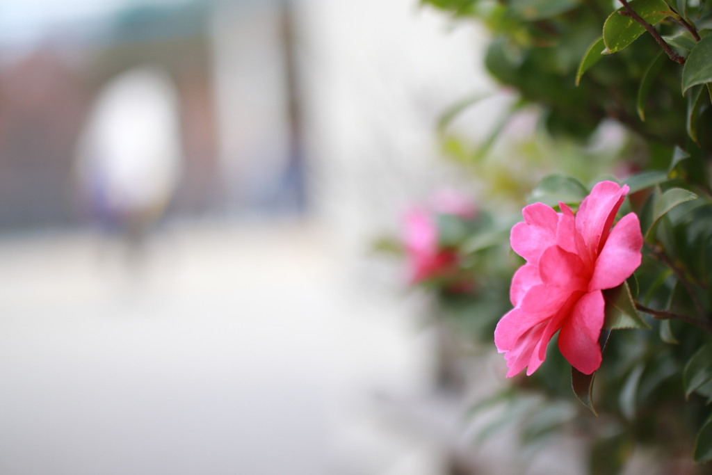 静かな新年の呼吸