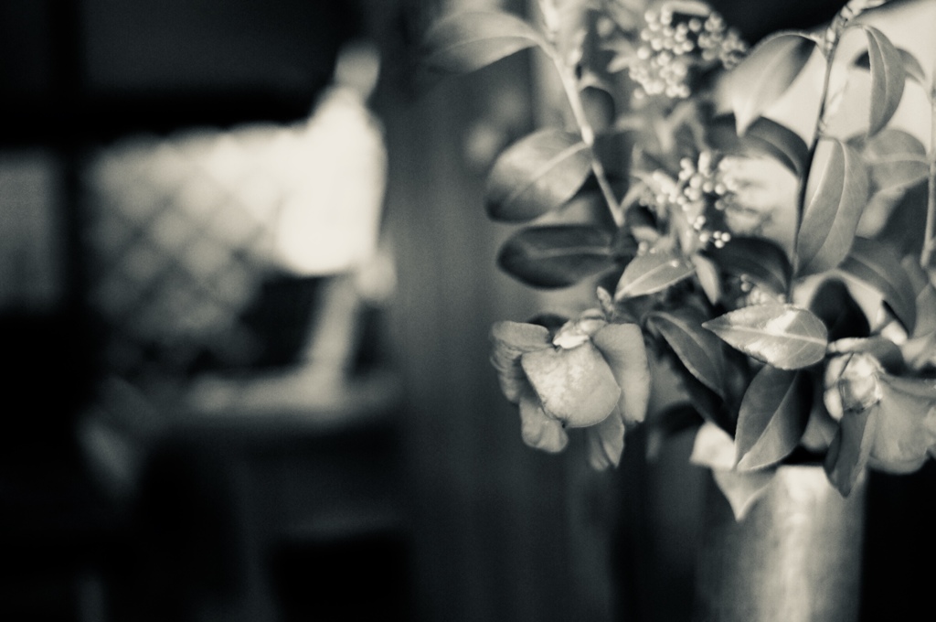 静寂と懐古のとき