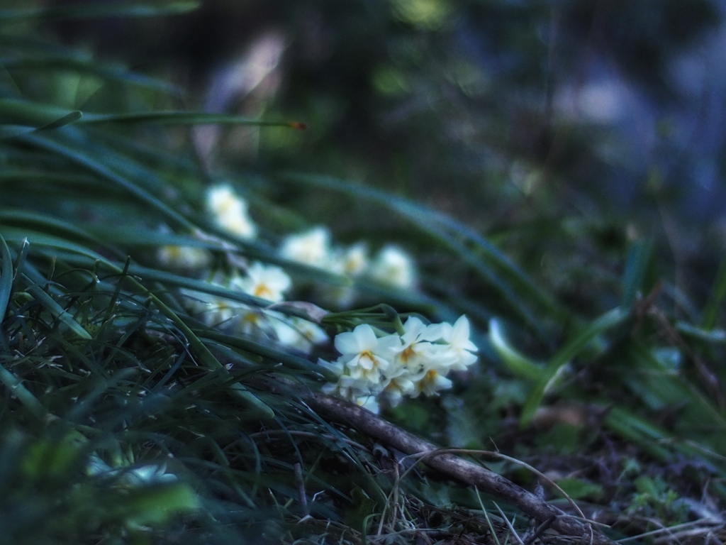 貴女の優しさを忘れない