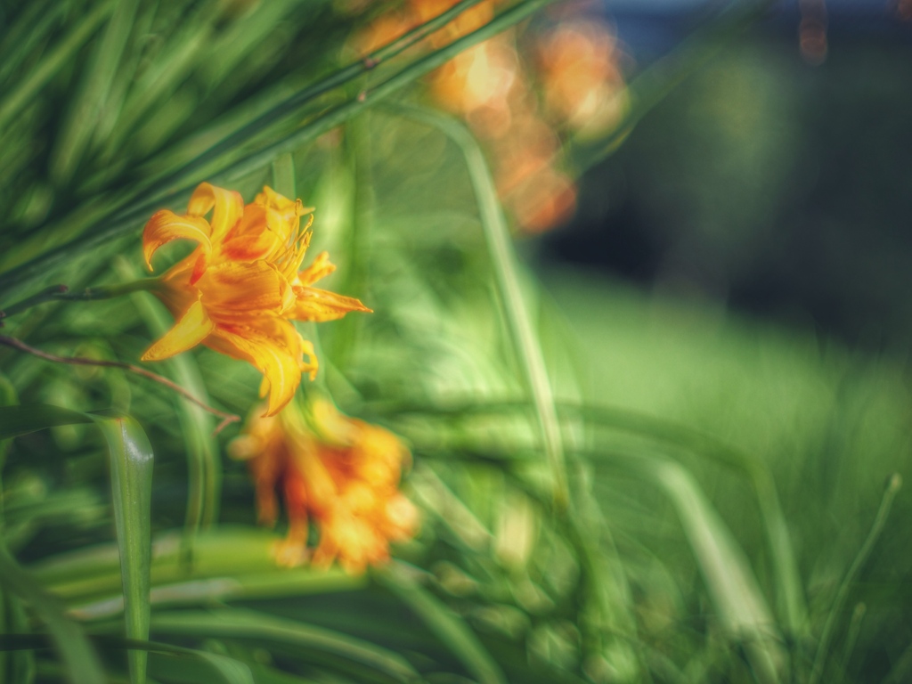 過ぎゆくままに。。。