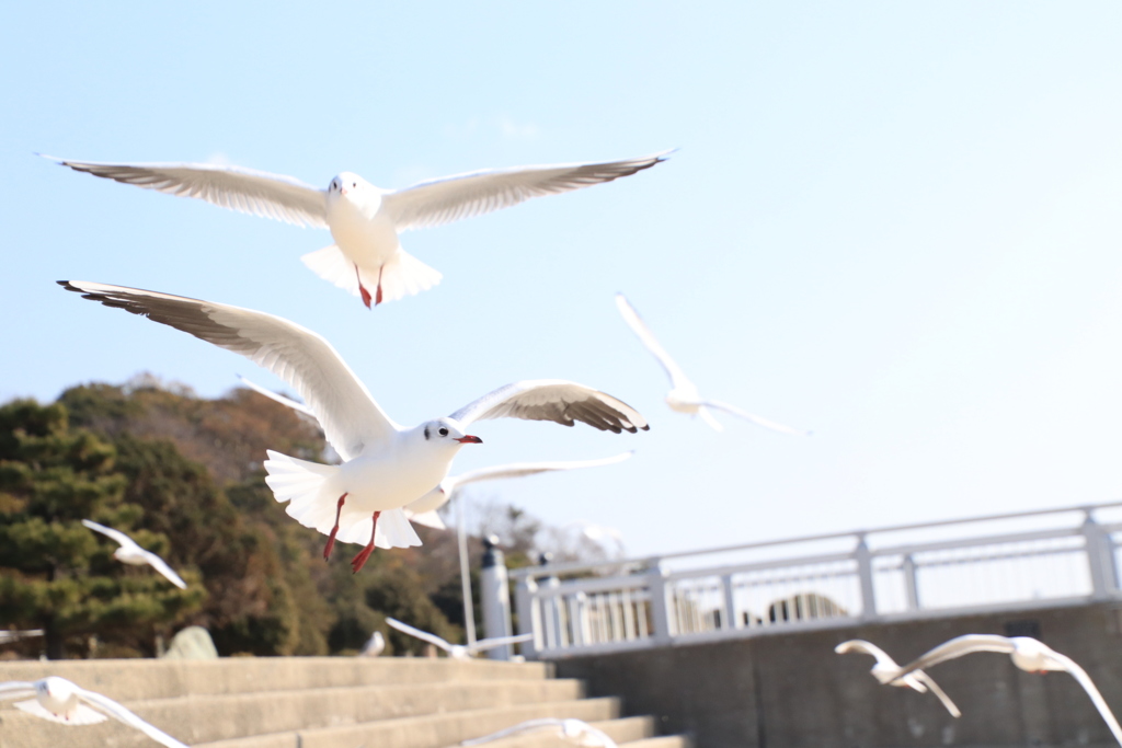 冬の海 ❷